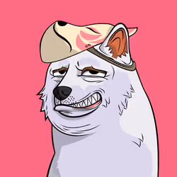 8068