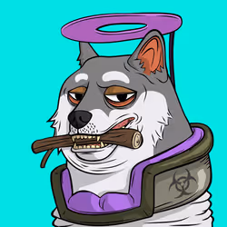 DOGGY #1067