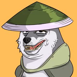 9038
