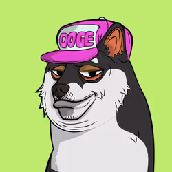 7843