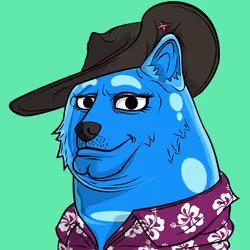5060