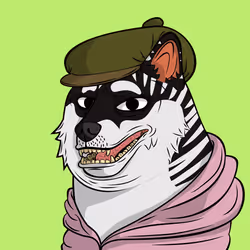 557