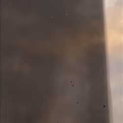 870023