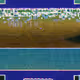 320049