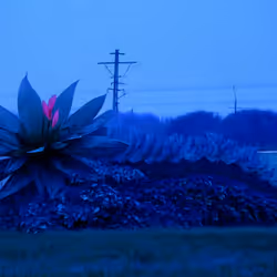 1450002
