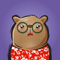 Rufus #553