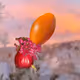 378