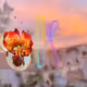 Karma DAO