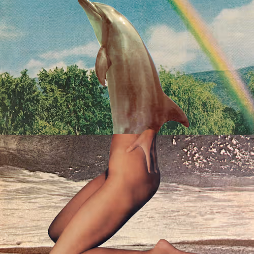Ultrasonic Wave