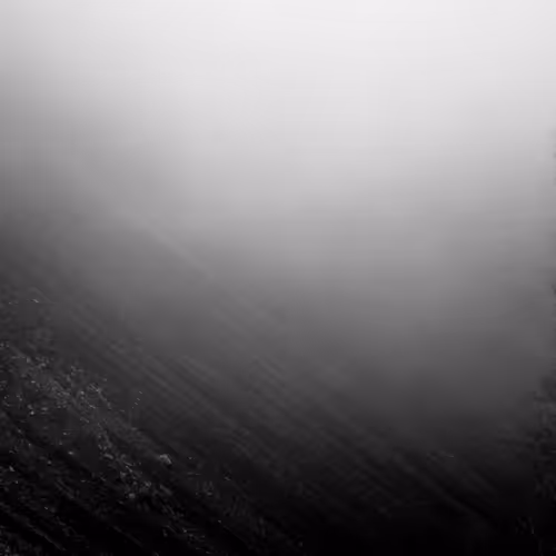 Misty dream