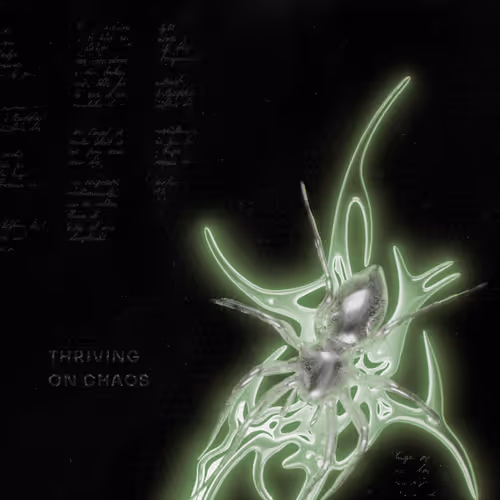 thrive on chaos