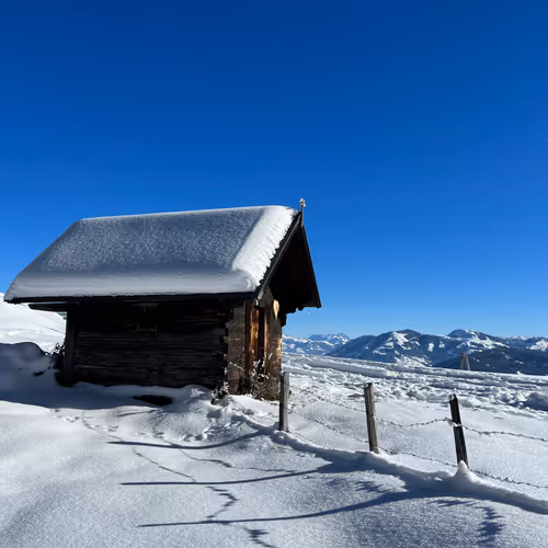 January 2023 Alps
