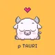 Rho Tauri