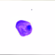 Purple Dot Test