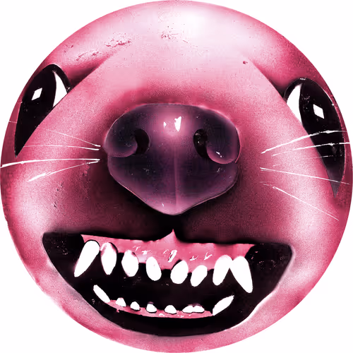 Fisheye Faces