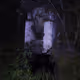 The Lost Chapel