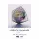 UNSEEN UNIVERSE #141