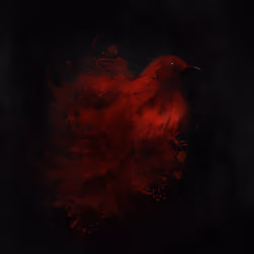 Red bird in the dark