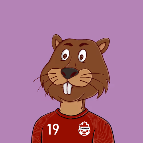 QatarFootballZoo