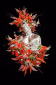 ED3N_001 EDITIONS BY NICOLA FORMICHETTI