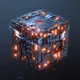 Nexus Nodes