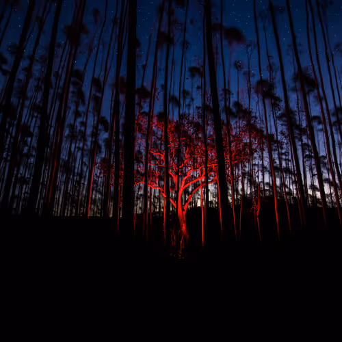 Red by Ricardo Takamura