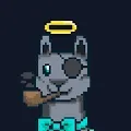 Trauma Llamas Club