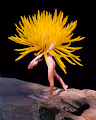 Flowermania V2