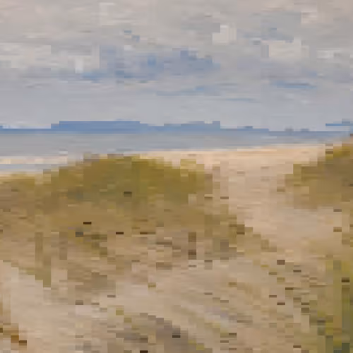Cellscapes