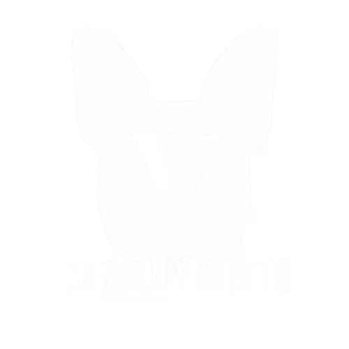Captain Violette by BossKaijuu
