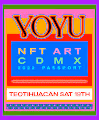 VOYU Access Pass Teotihuacán Nov 19