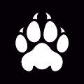 Panthers of Cliposo