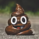 Crypto Poops
