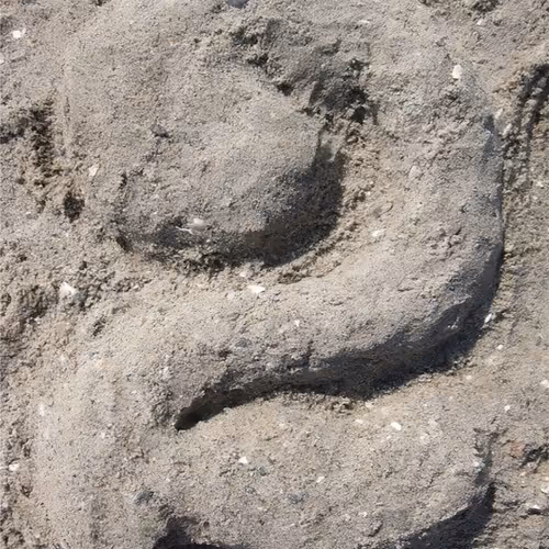 Twos: Artifacts - Editions