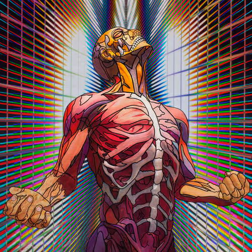 Release Your Energy