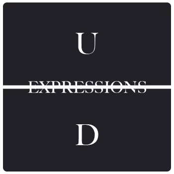 1x1