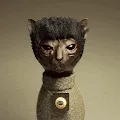 SPHYNX Cats Collection