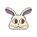 Rabbitz.xyz