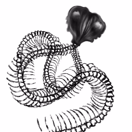 snakes.editions