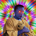 The Doge House V1