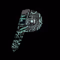 PaymentLinks Access Key