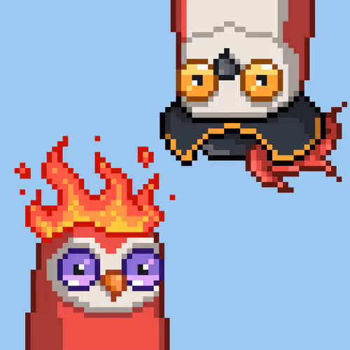 M69nbirds