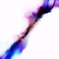 Fissures