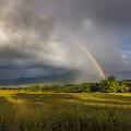 Moyamoya by Houston Vandergriff Downs & Towns