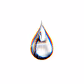 WET