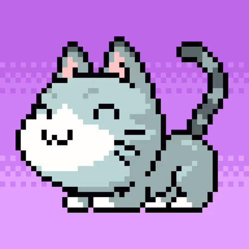 Catxoxo