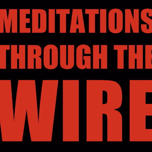 Meditations Through the Wire