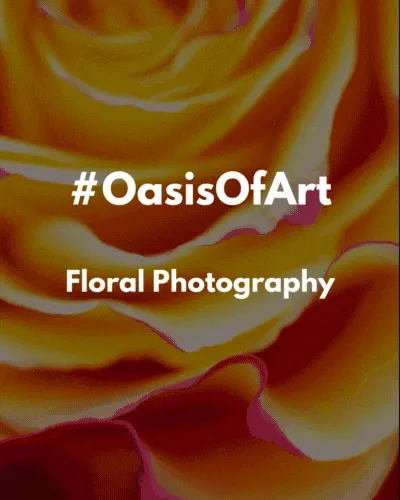 Oasis of Art - Floral Photography