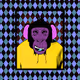 The Cool Chimps