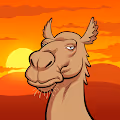 Arabian Camels